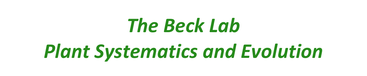 The Beck Lab
Plant Systematics and Evolution